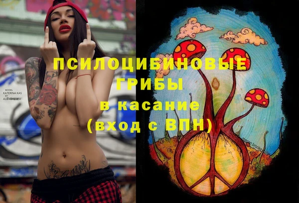 тгк Майский