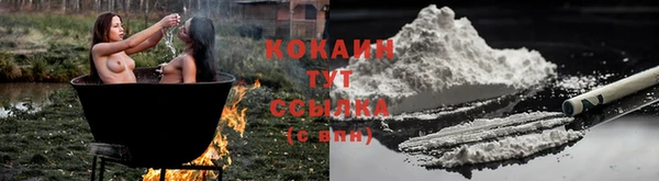тгк Майский