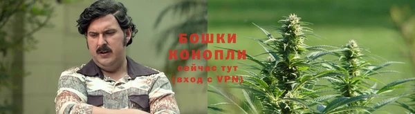 тгк Майский