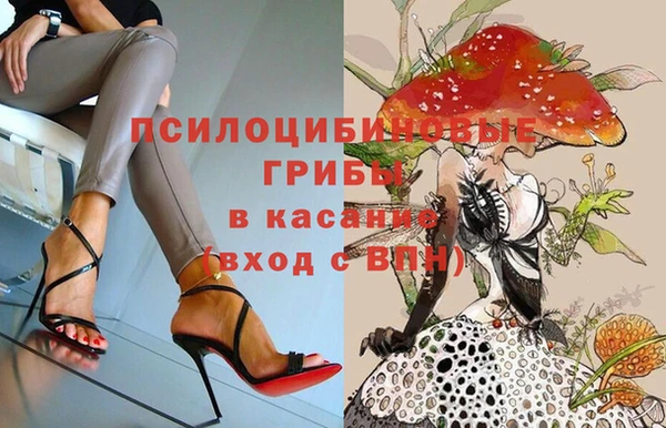 тгк Майский