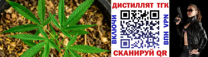 купить наркотики цена  Владикавказ  Дистиллят ТГК вейп 