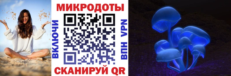 купить наркотик  Владикавказ  Псилоцибиновые грибы Psilocybe 